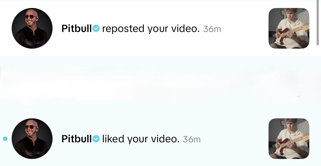 Pitbull: Reposted and liked the video
